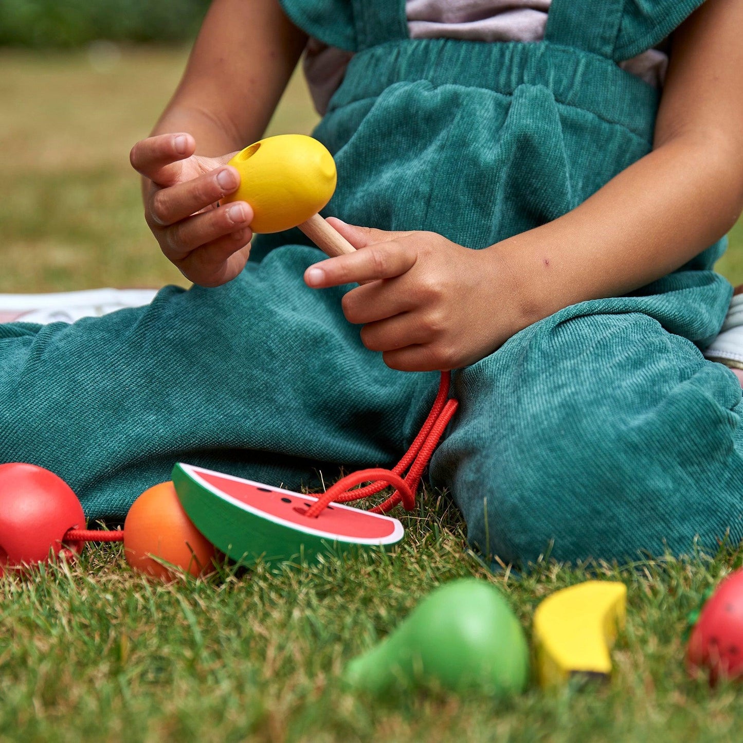 Wooden Lacing Fruit Set