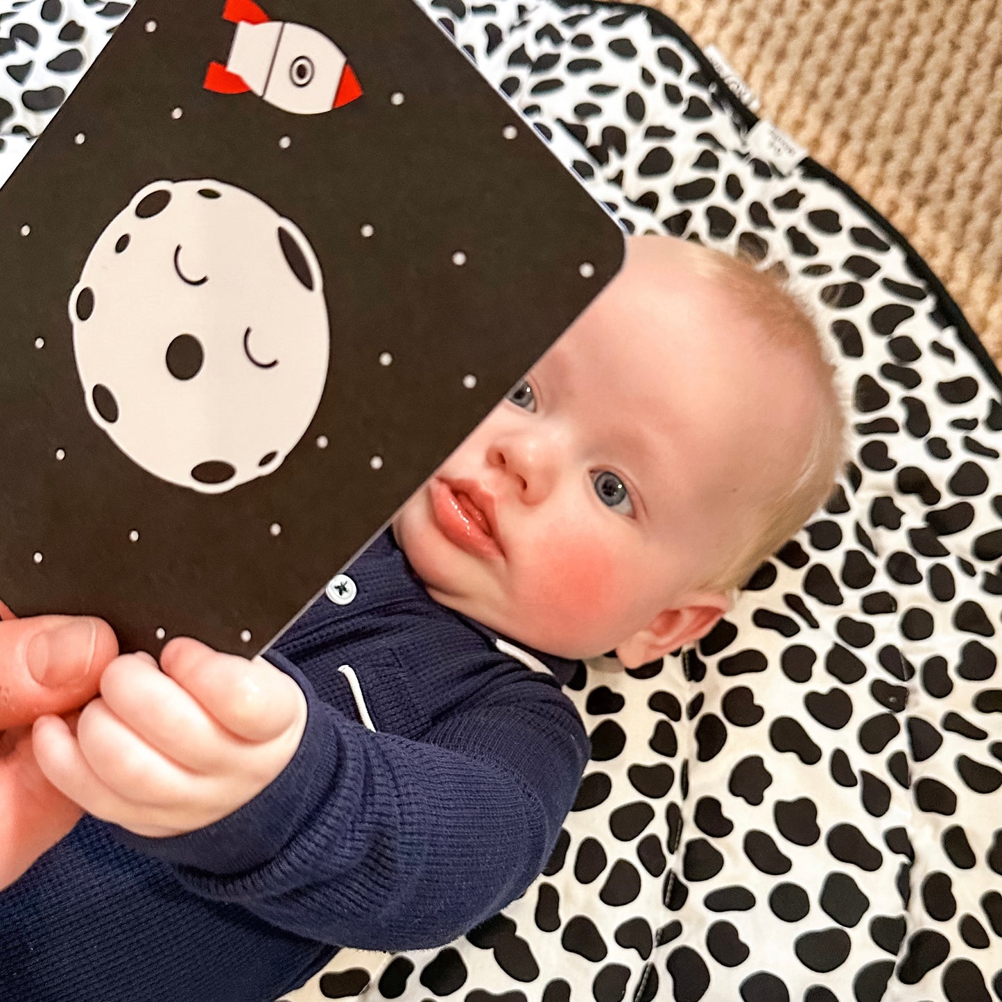 Newborn Sensory Flashcards