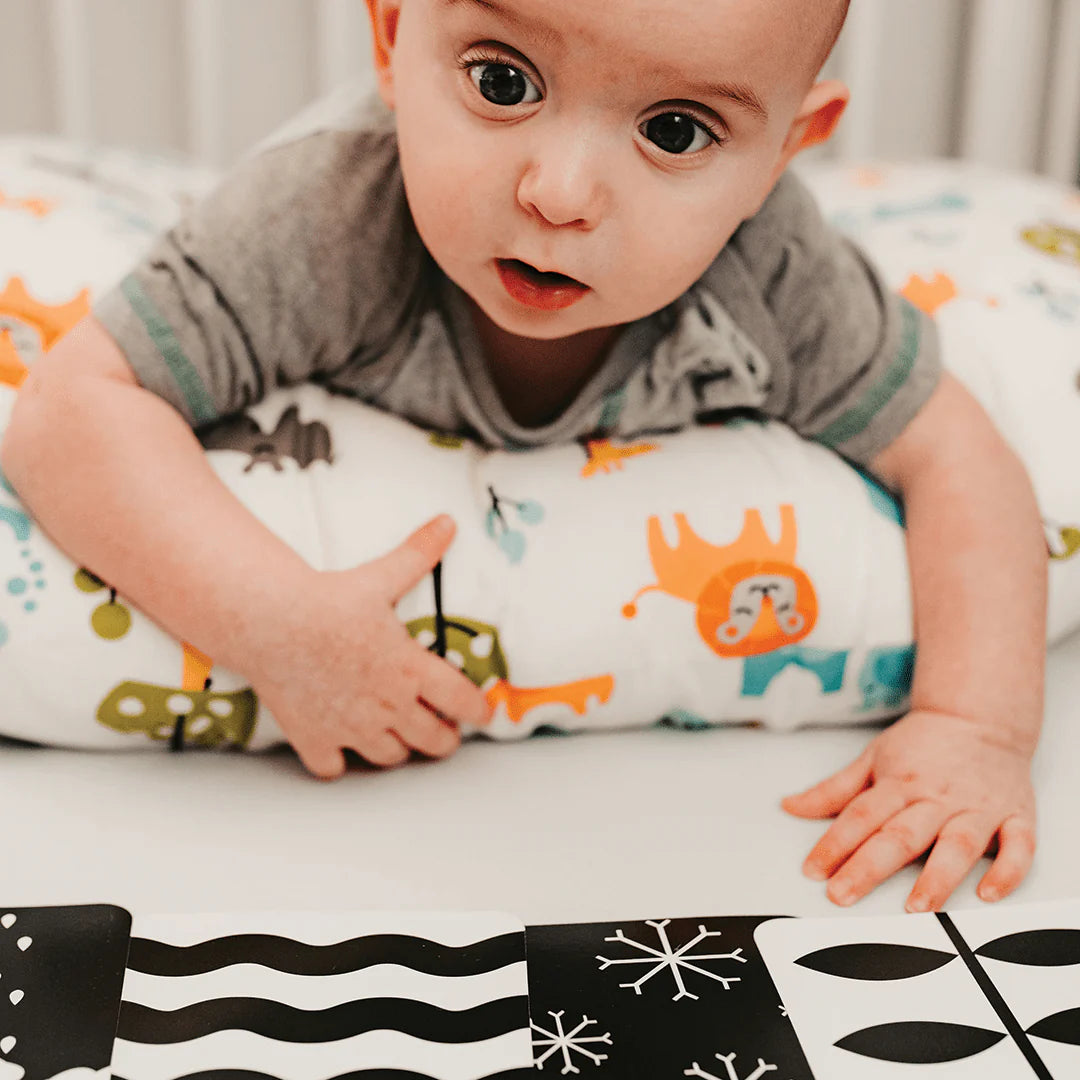 0m+ Sensory Flashcards