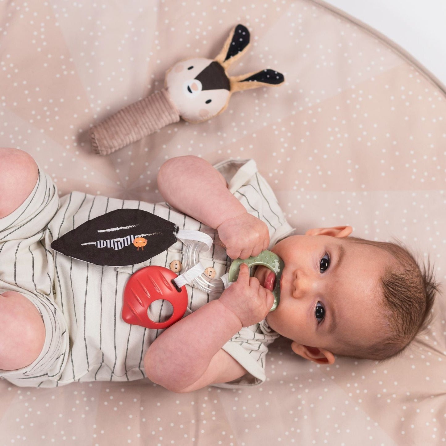 Newborn Black and White Gift Set