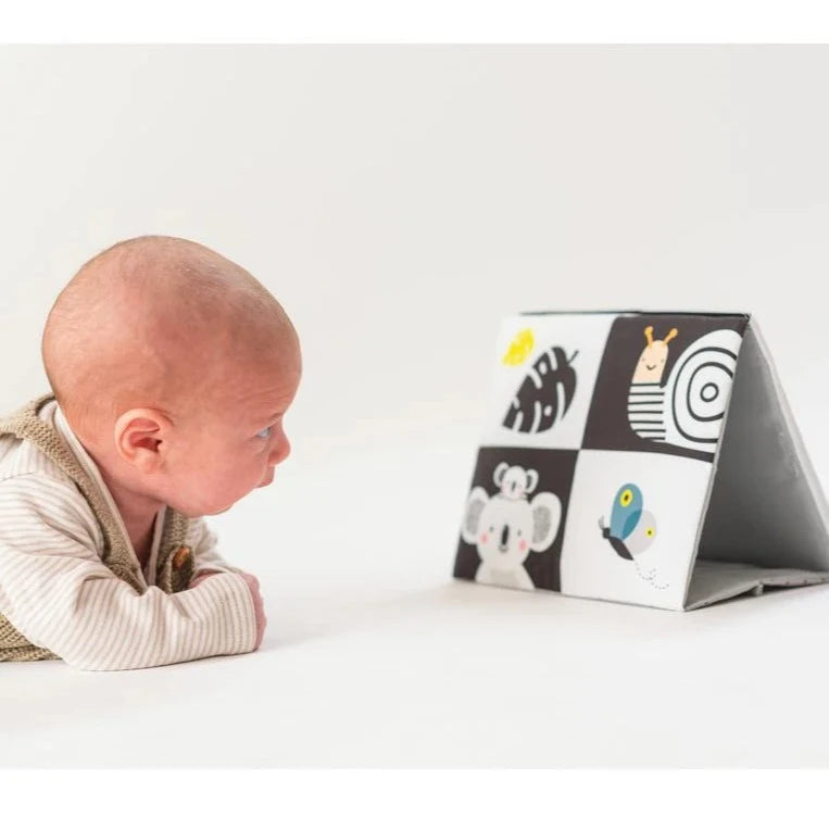 Tummy-Time Baby Mirror Book