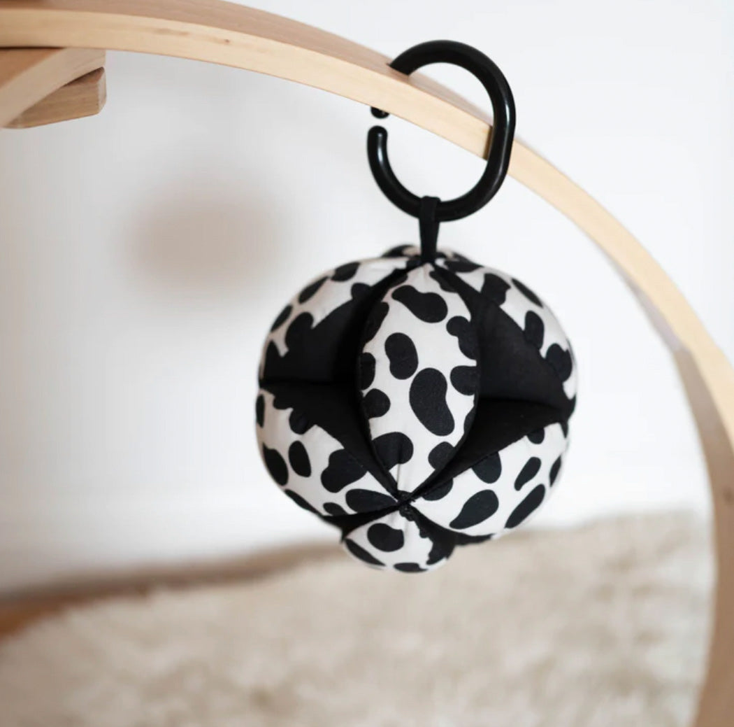 Sensory Grasp Ball
