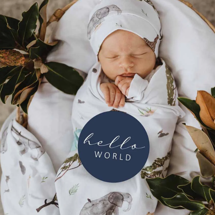 Safari & Navy Reversible Milestone Cards