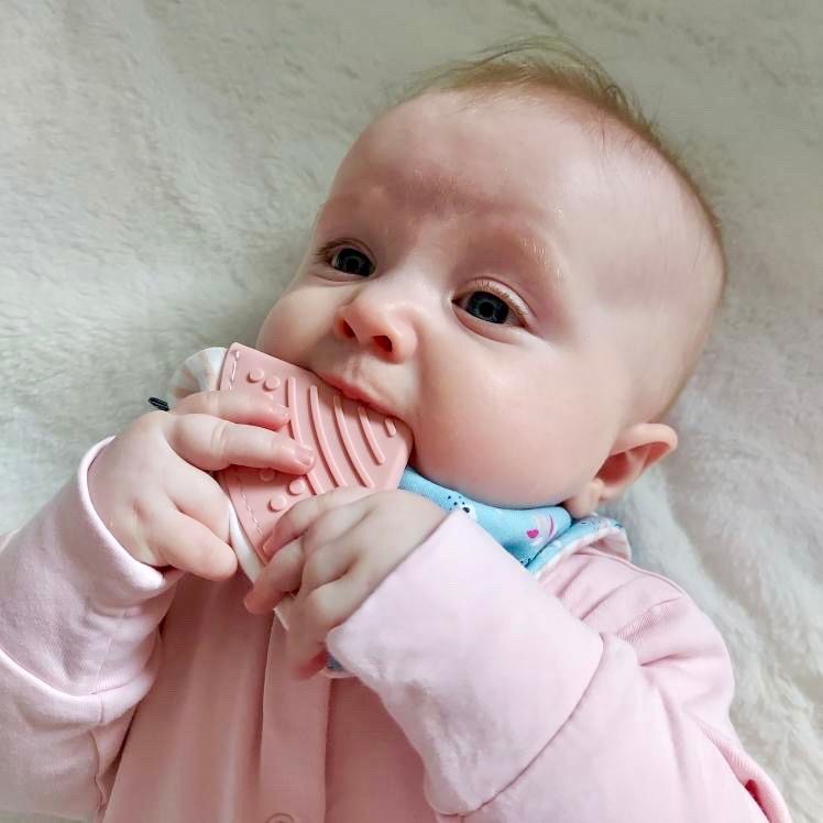 Teething Bib | Botanical