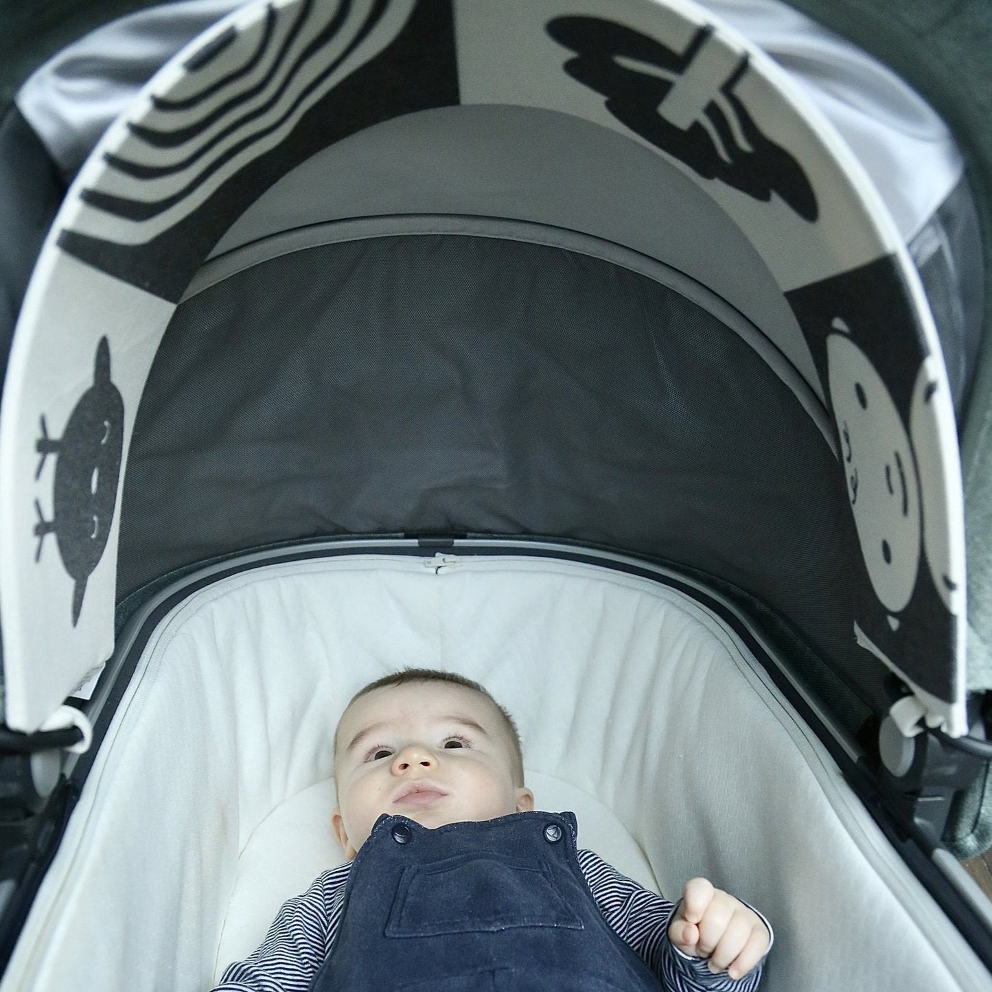 The Gallery | Black and White Pram Hood Toy