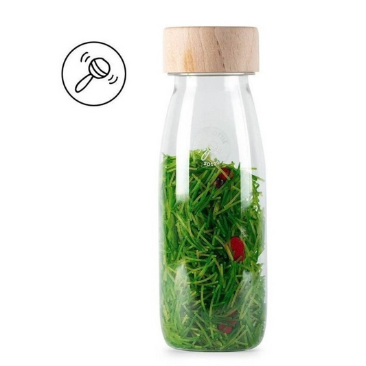 Ladybird Sound Sensory Bottle