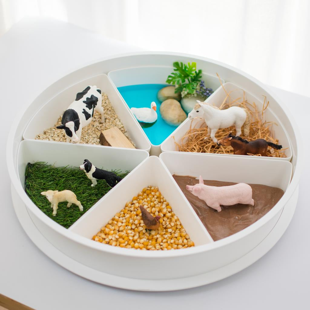PlayTRAY Sensory Play Out The Box Baby Gifts playtray-sensory-play-out-the-box-baby-gifts