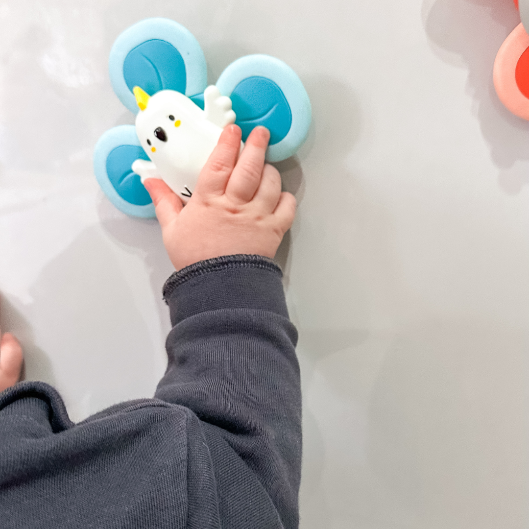 3 Pack Sensory Spinners