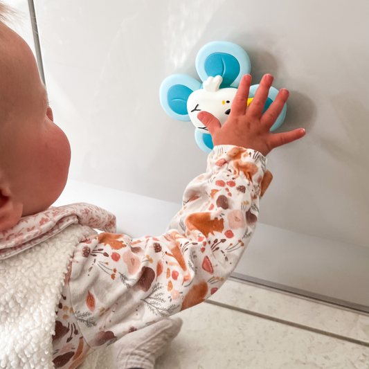 3 Pack Sensory Spinners