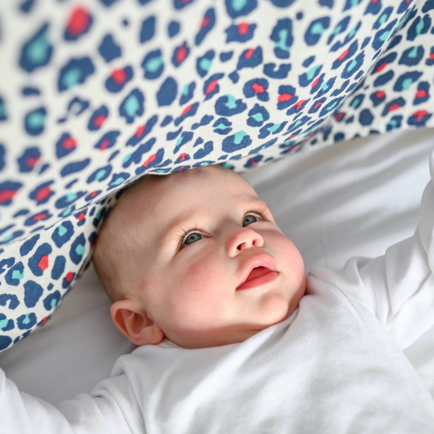 Etta Loves | XL Blue Leopard Muslin