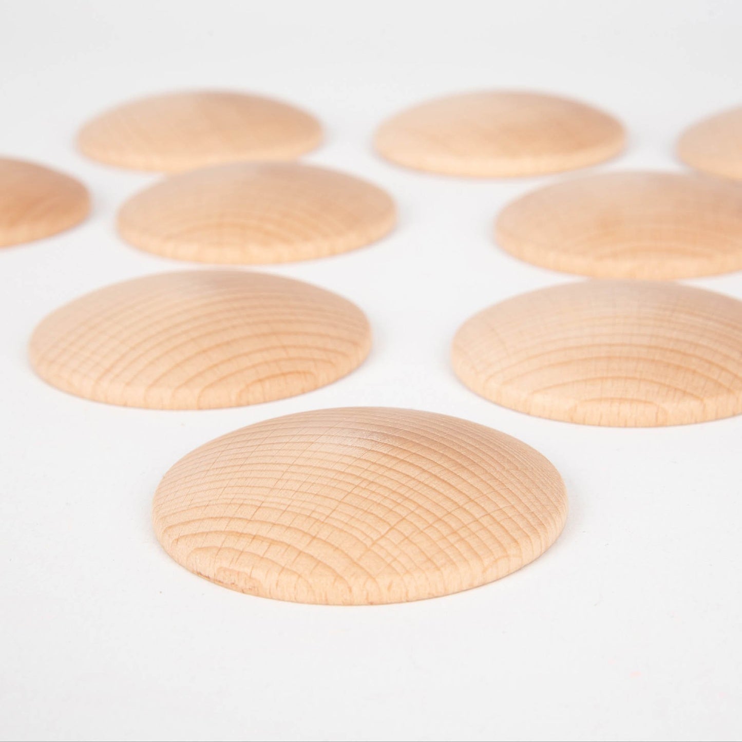 Beechwood Disc