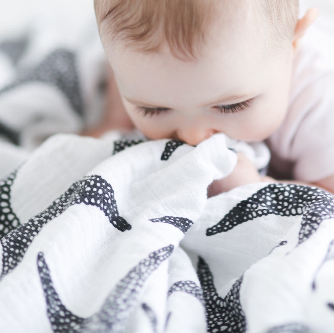 Etta Loves | 3 Pack Muslins - Animal 0-4m