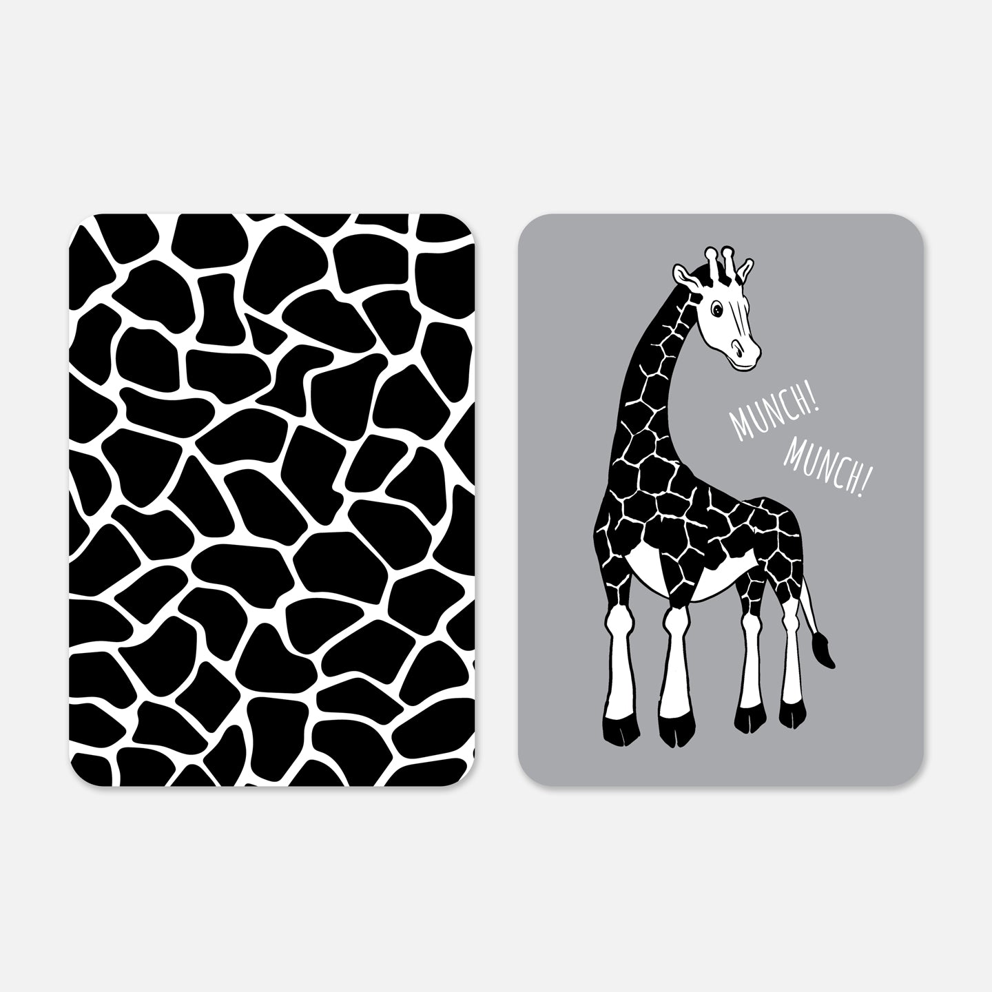 Newborn Sensory Flashcards