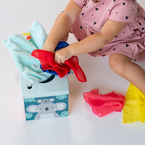 Kimmy Koala Wonder Tissue Box