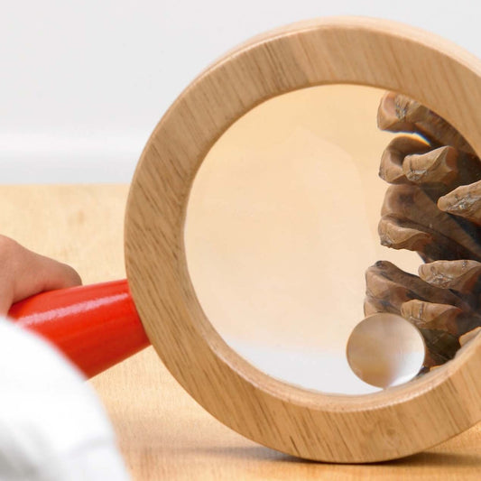 Wooden Hand Lens