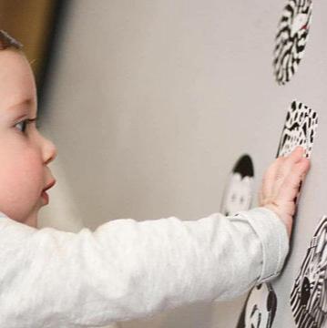 Block Sensory Decal Stickers | Animal Theme