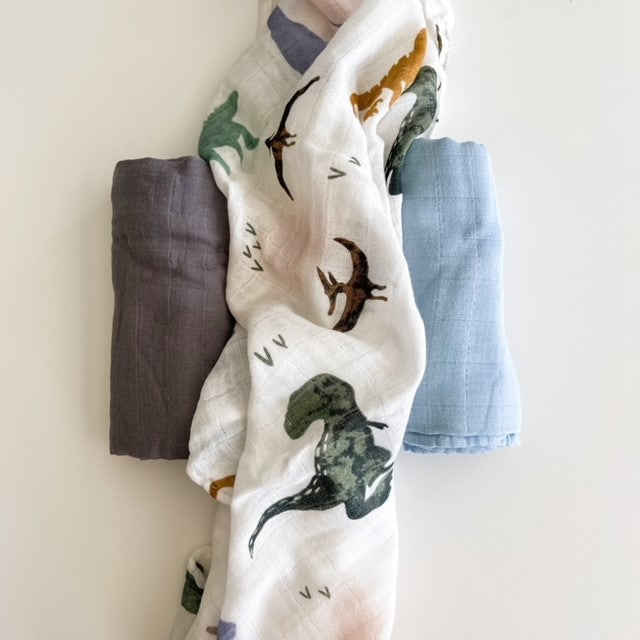 Dinosaur muslin best sale