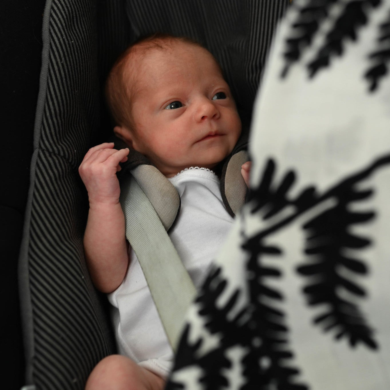 Etta Loves | XL Fern Muslin