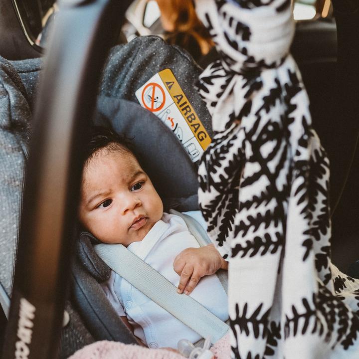 Etta Loves | XL Fern Muslin