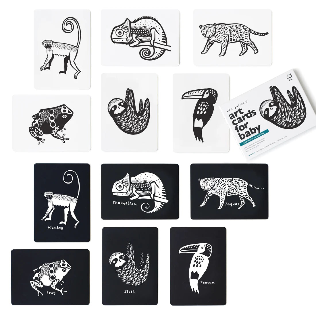 Rainforest Art Cards