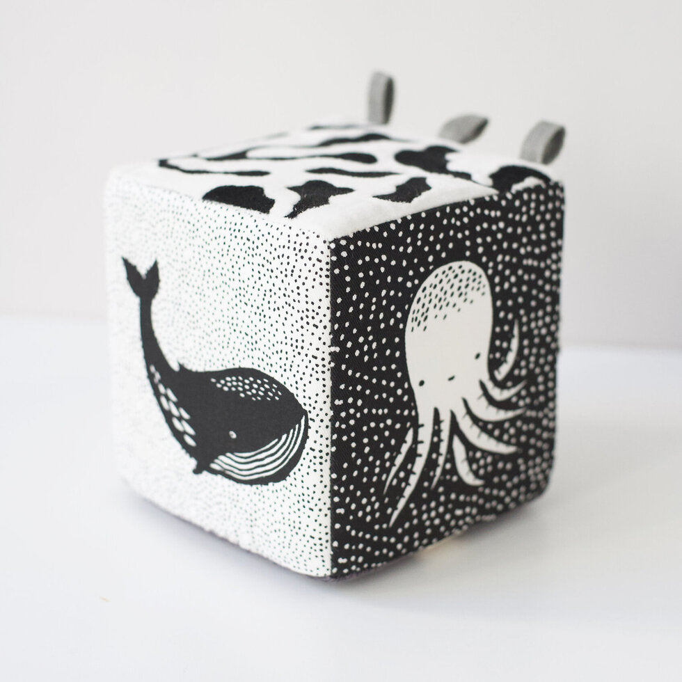 Ocean Theme Developmental Cube