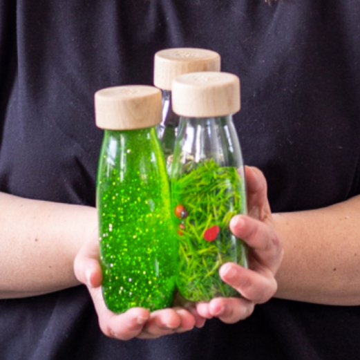 Sensory Bottle Set - Life