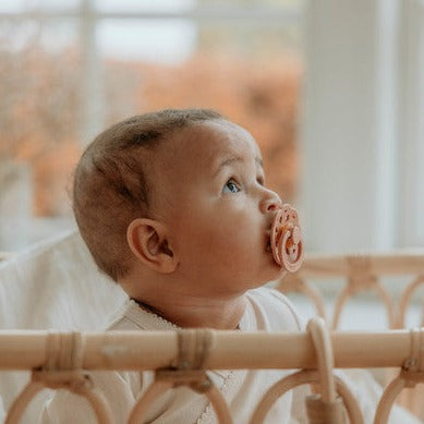BIBs Boheme Dummies | 2 Pack | Vanilla & Peach