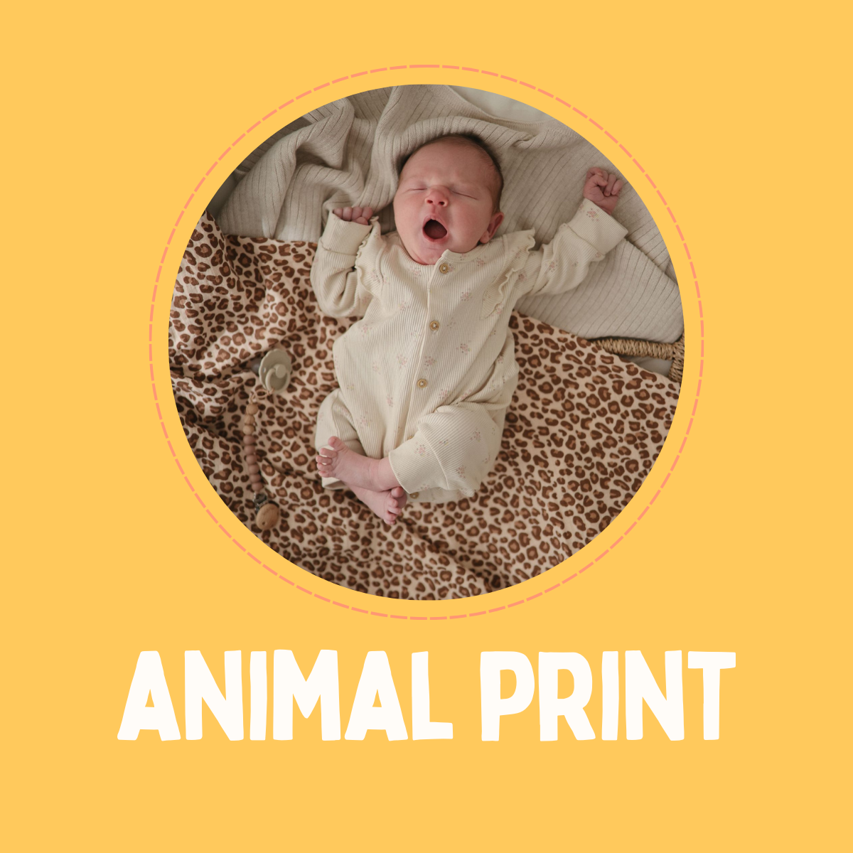 Animal Print Collection