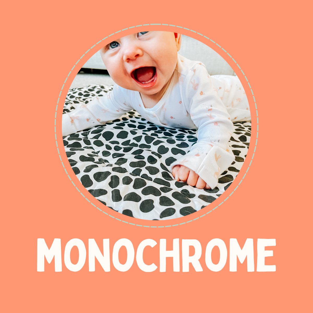 Monochrome Collection