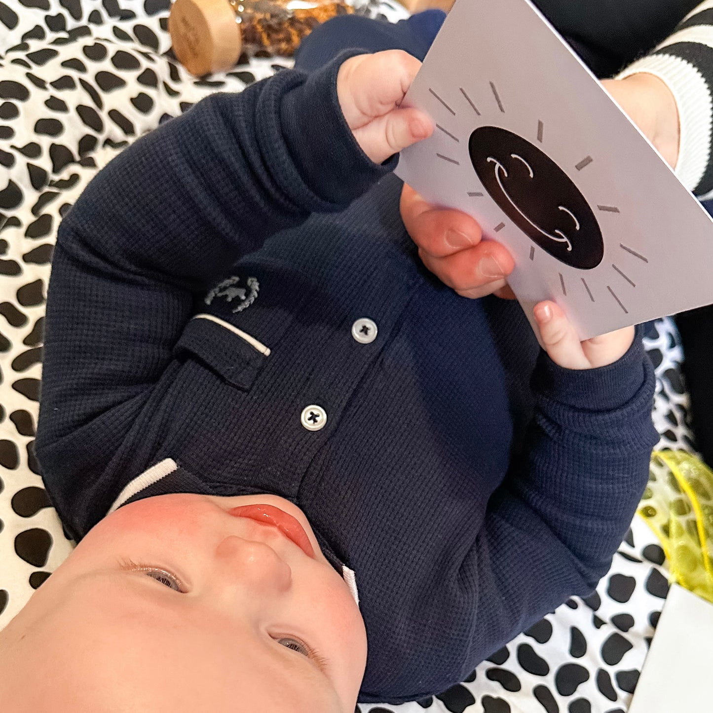 Newborn Sensory Flashcards