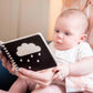 First Sensory Mirror Book