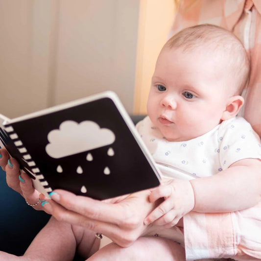 First Sensory Mirror Book