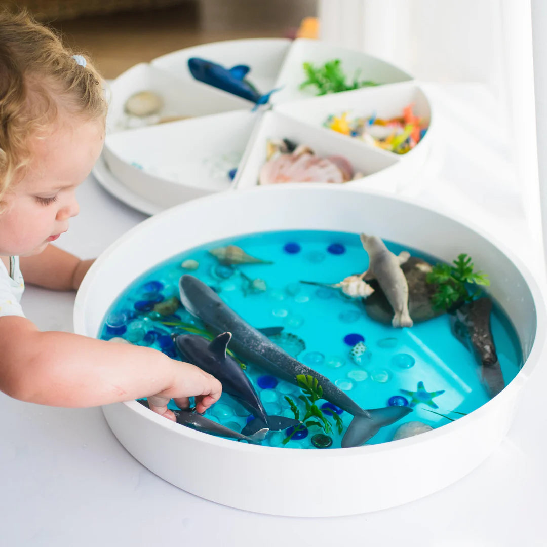 PlayTRAY Sensory Play