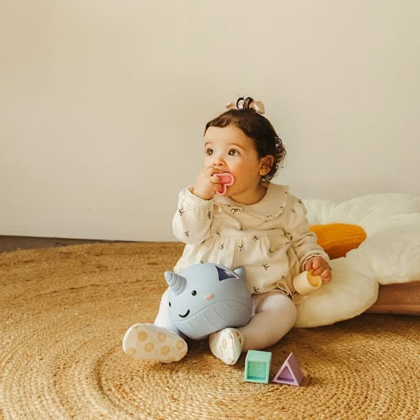 Jellystone Narwhal Shape Sorter