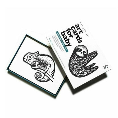 Rainforest Art Cards