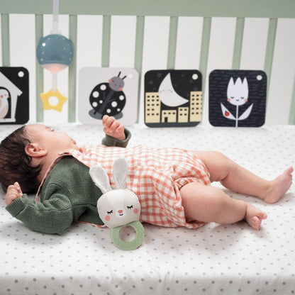 Hello Baby Bedtime Kit