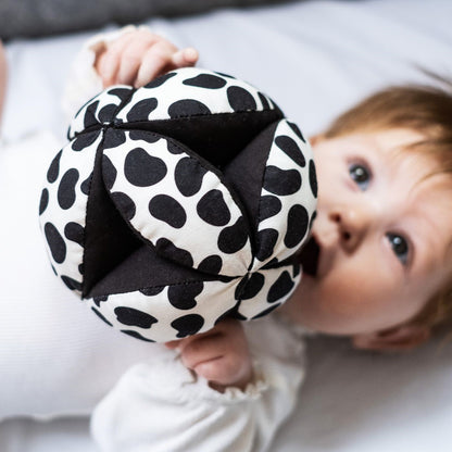Sensory Grasp Ball