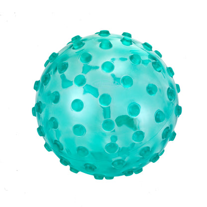 Translucent Sensory Ball