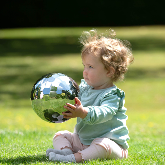 Stainless Steel Tumble Ball