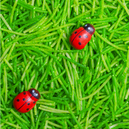 Ladybird Sound Sensory Bottle