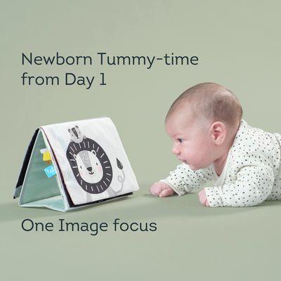 Savannah Tummy Time Book